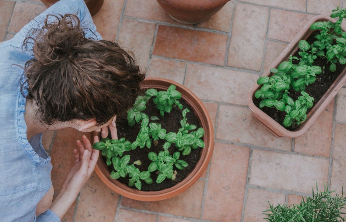 Aménager un petit potager chez soi