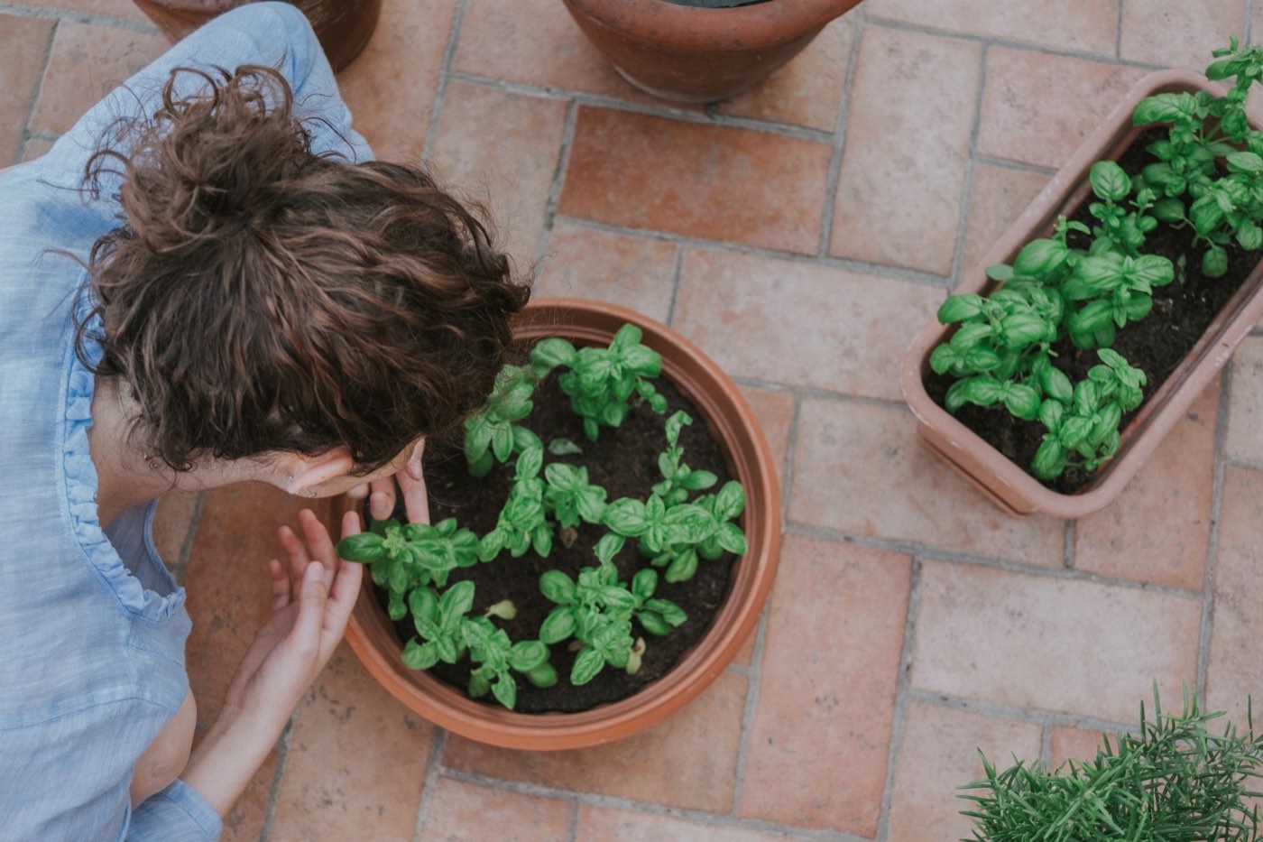 Aménager un petit potager chez soi