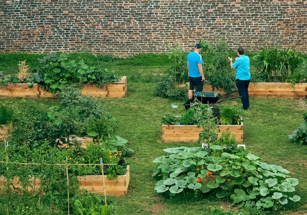 Jardiniers travaillant ensemble dans un potager en carrés
