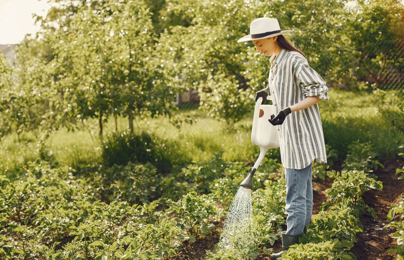 Meilleurs systèmes d'arrosage pour petit jardin