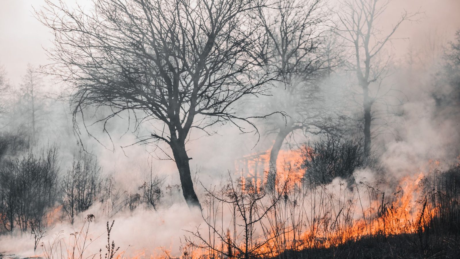 Bilan alarmant des canicules de l’été 2026 en France