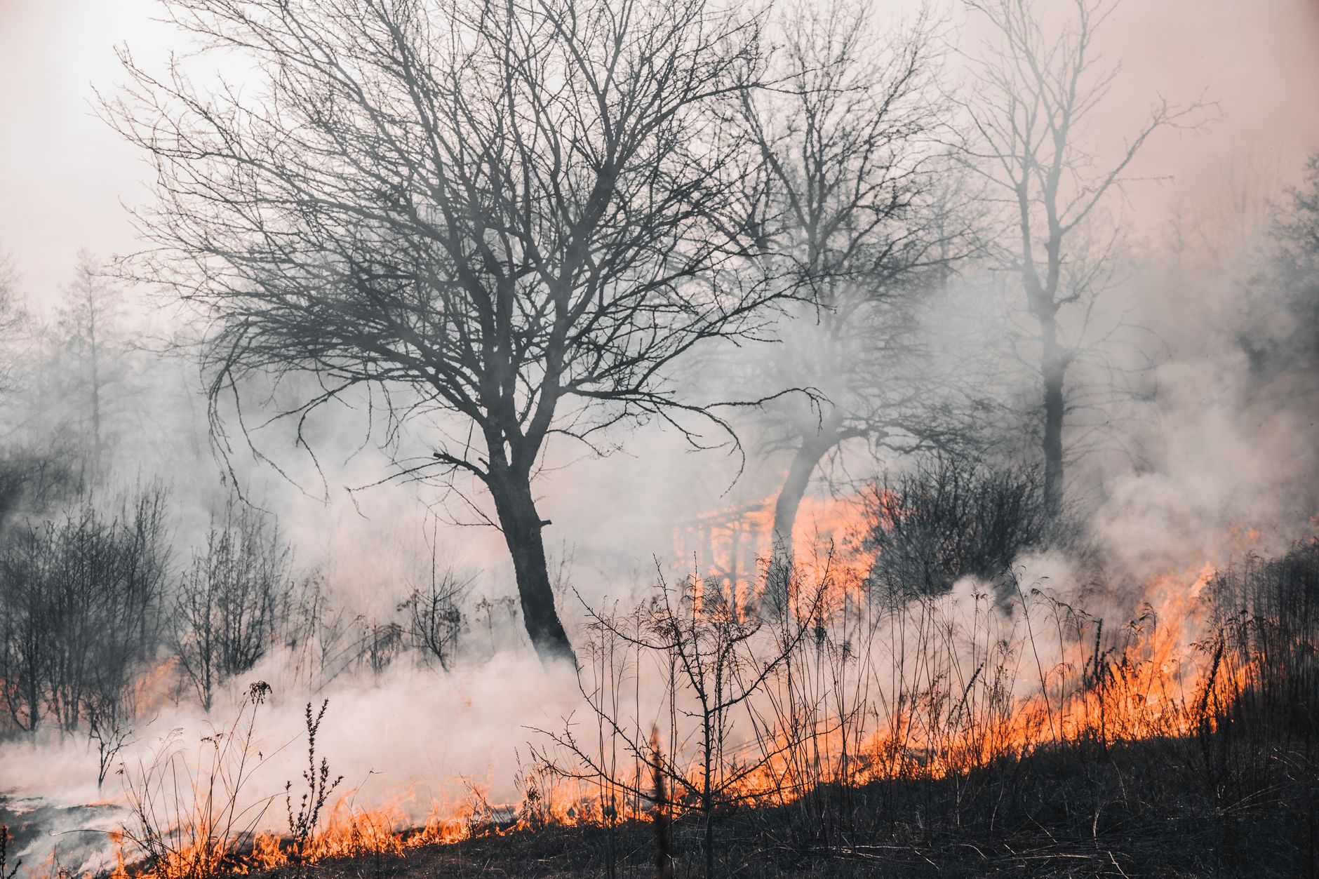 Bilan alarmant des canicules de l’été 2026 en France