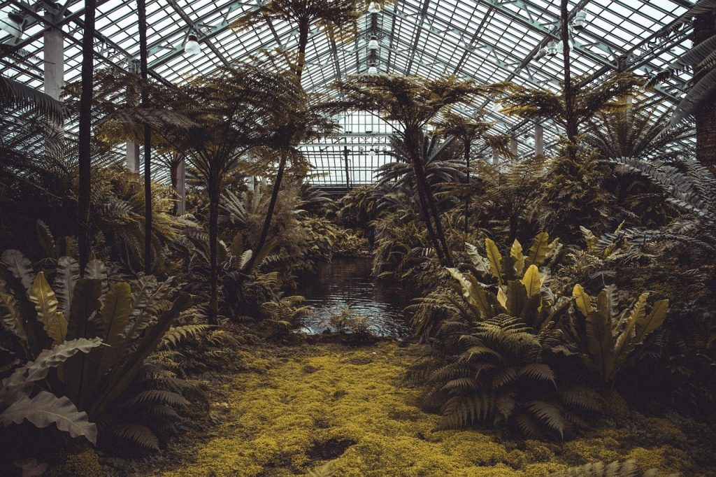 Interieur d'une serre de jardin avec etageres de plantes